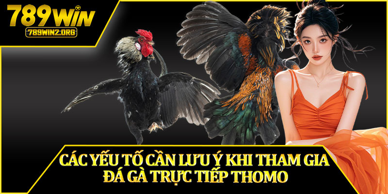 Các Yếu Tố Cần Lưu Ý Khi Tham Gia Đá Gà Trực Tiếp Thomo