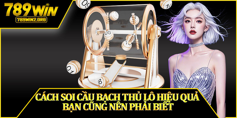 Cách Soi Cầu Bạch Thủ Lô Hiệu Quả Bạn Cũng Nên Phải Biết