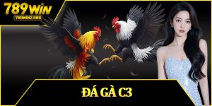 Đá Gà C3