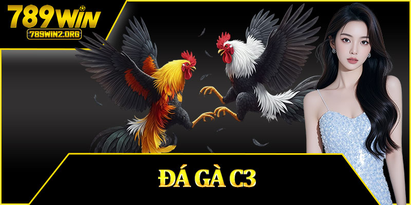 Đá Gà C3
