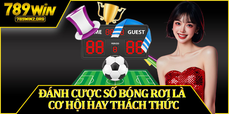 Đánh Cược Số Bóng Rơi Là Cơ Hội Hay Thách Thức