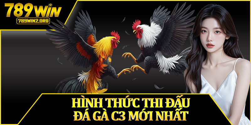 Hình Thức Thi Đấu Đá Gà C3 Mới Nhất