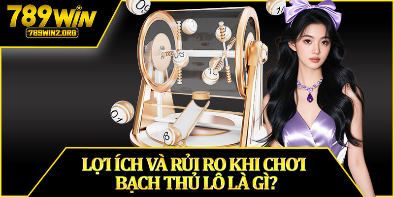 Lợi Ích Và Rủi Ro Khi Chơi Bạch Thủ Lô Là Gì?