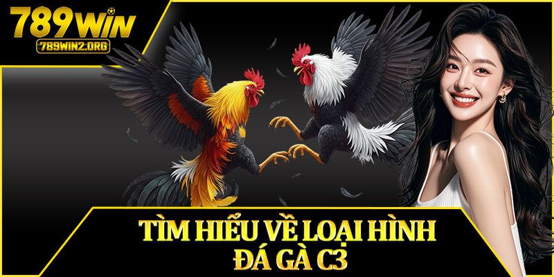 Tìm Hiểu Về Loại Hình Đá Gà C3